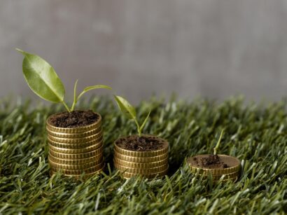 high-angle-three-stacks-coins-grass-with-plants-dirt